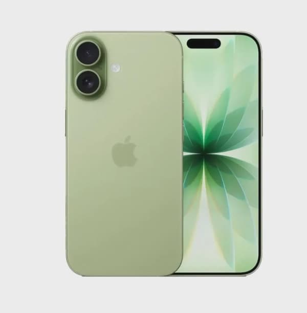 Apple iPhone 17 256GB Sage 5G (eSim only) With FaceTime - International Version