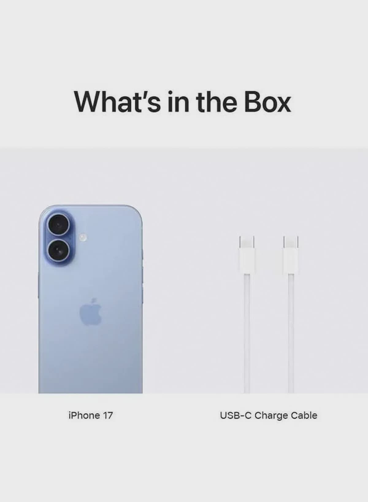 Apple iPhone 17 256GB Mist Blue 5G (eSim only) With FaceTime - International Version-1-1