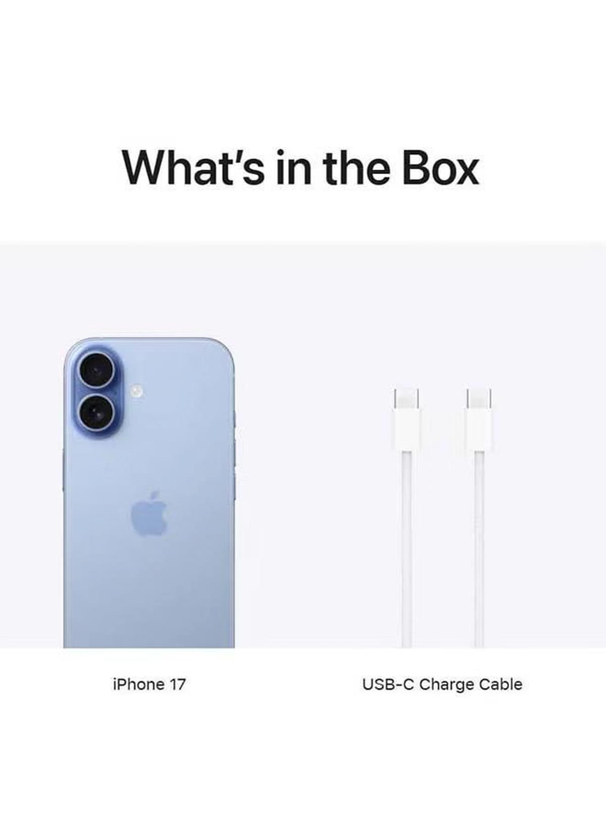 Apple iPhone 17 256GB Mist Blue 5G (eSim only) With FaceTime - International Version-4-4