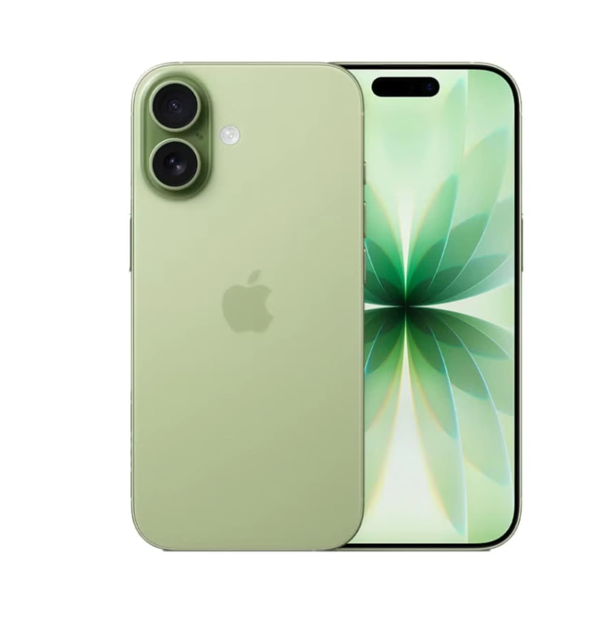 https://storage.ayshei.com/prod/public/drafts/a7839896-165d-497a-b343-df056c320004/web/1_1778793219875_1200.webp-0